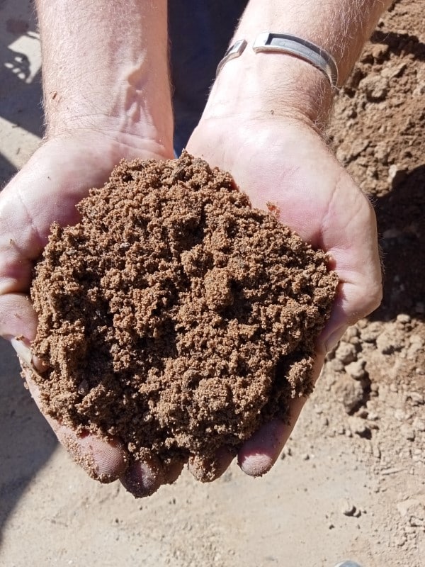 Lawn Sand Topdressing