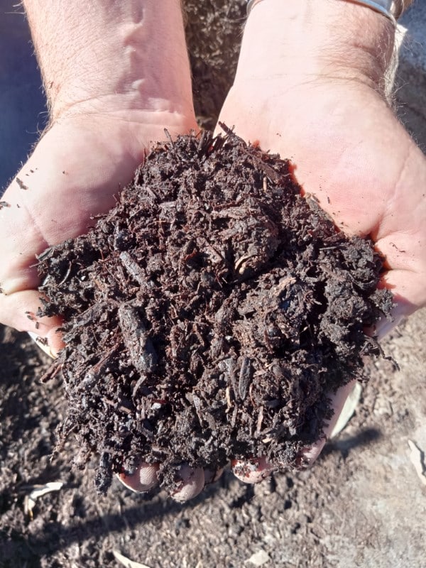 Mushroom Compost