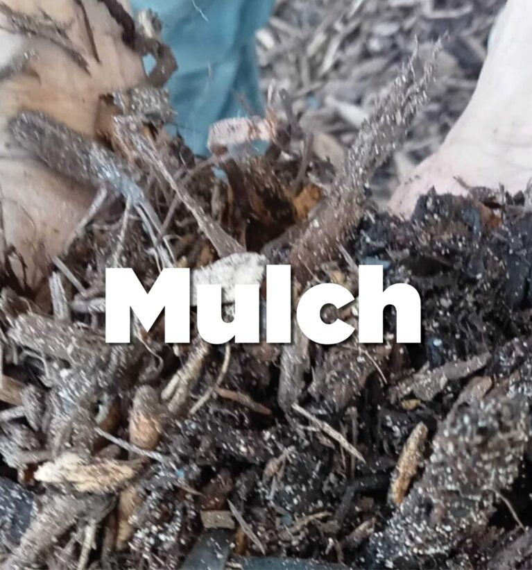 Mulch