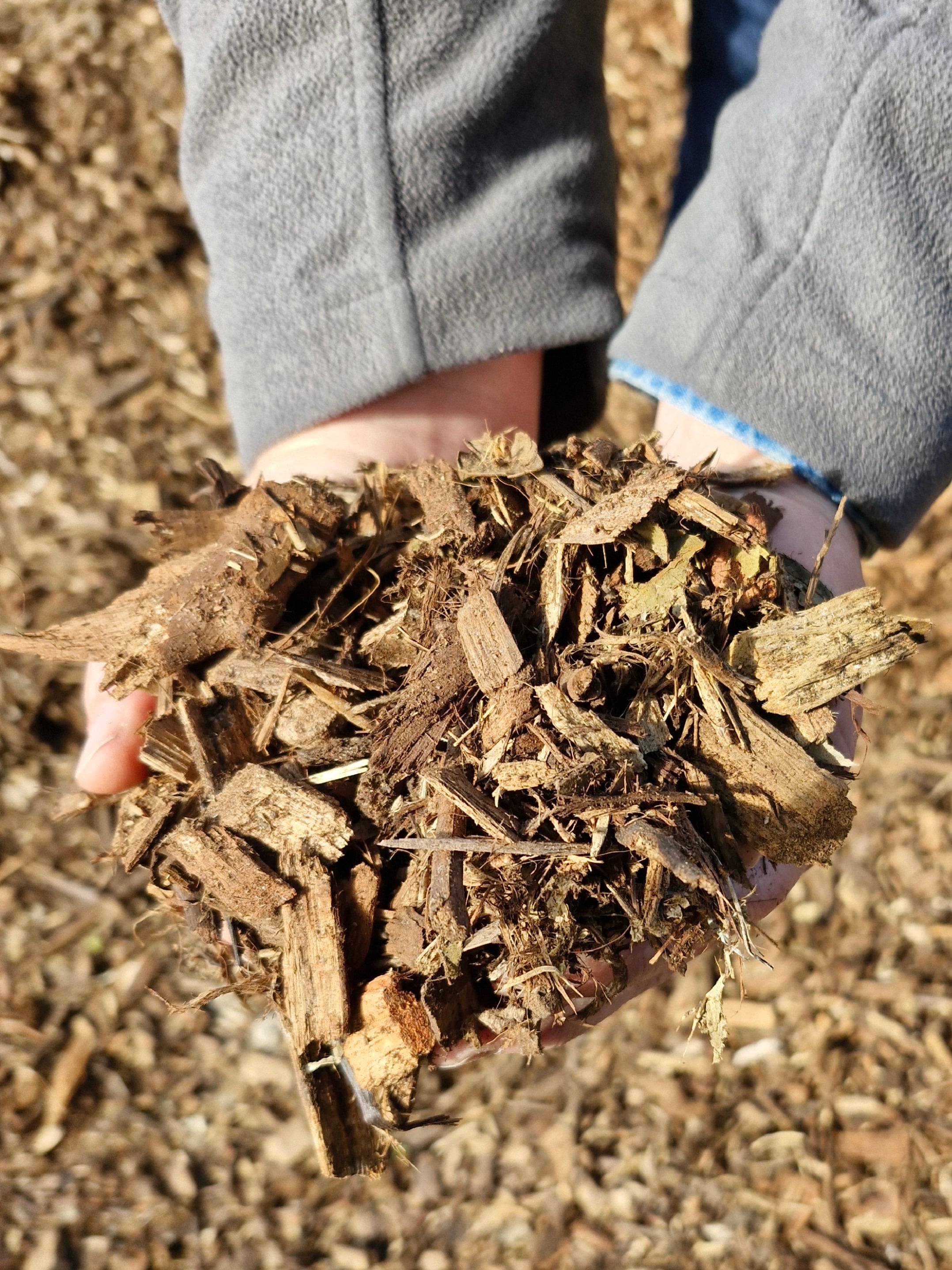 Arbor mulch