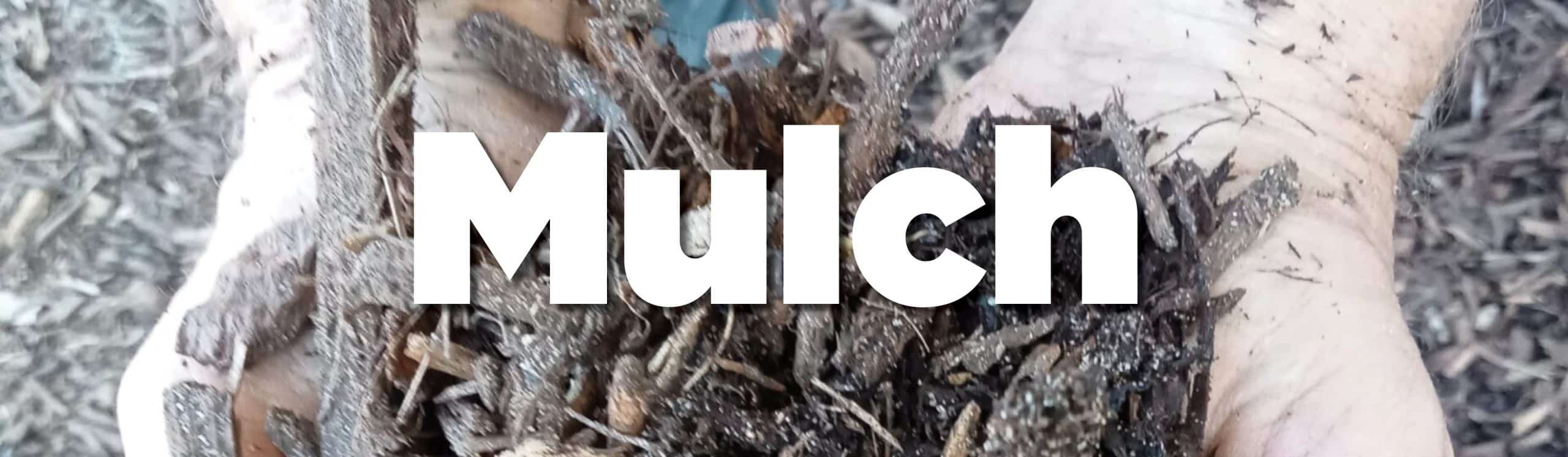 KWINNY CATEGORY BANNERS BIG MULCH Mobile